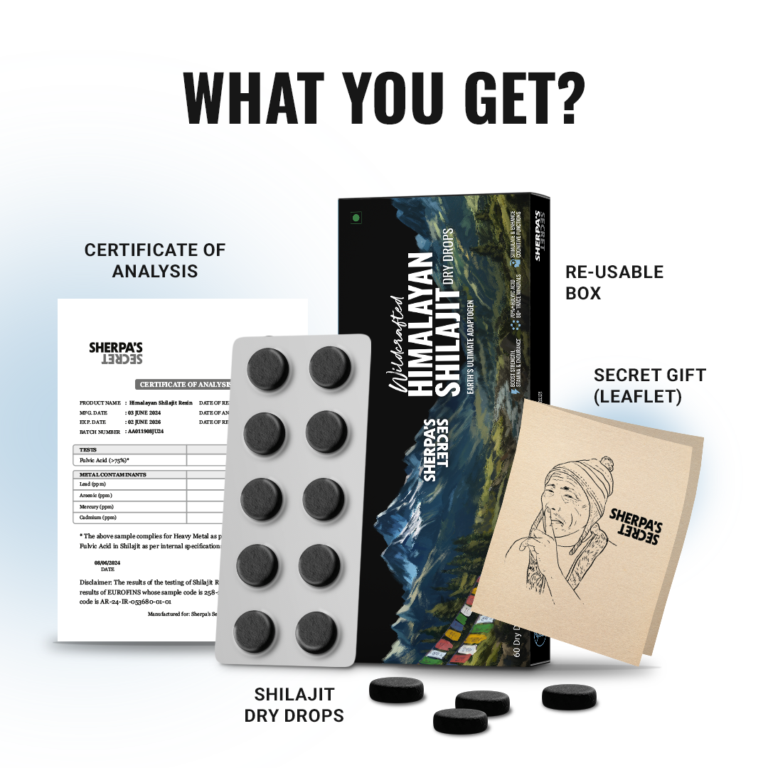 Shilajit Dry Drops - Portable Power | Easy-To-Take Energy & Vitality Tablets