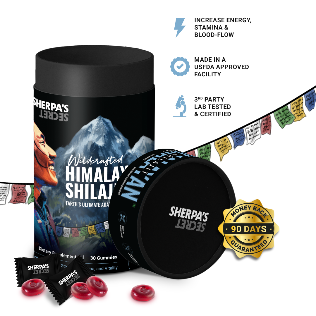 Shilajit + Ashwagandha Gummies | Berry Flavor | Energy, Stamina & Blood Flow