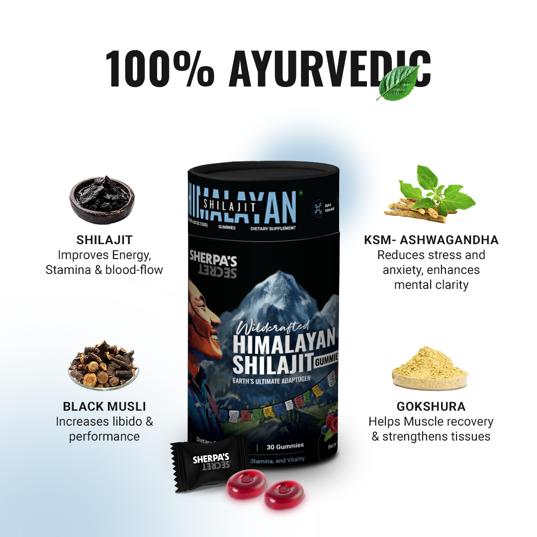 Shilajit + Ashwagandha Gummies | Berry Flavor | Energy, Stamina & Blood Flow