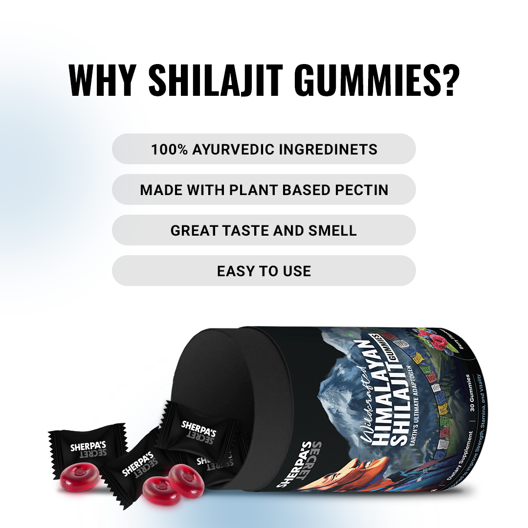 Shilajit + Ashwagandha Gummies | Berry Flavor | Energy, Stamina & Blood Flow