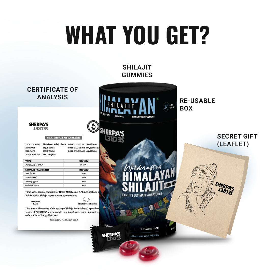 Shilajit + Ashwagandha Gummies | Berry Flavor | Energy, Stamina & Blood Flow