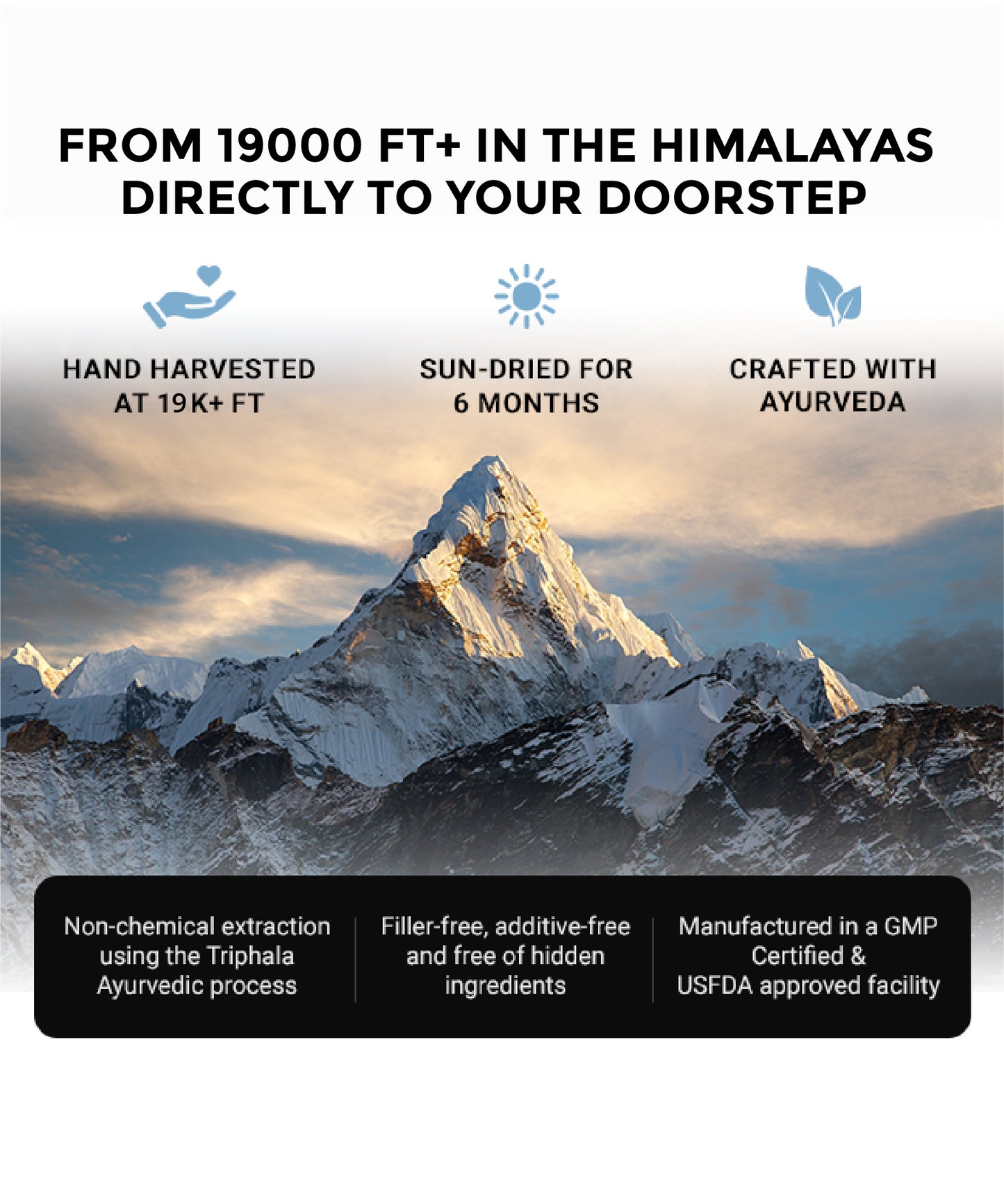 Himalyan Shilajit Resin - Earth's Ultimate Adaptogen | Energy, Stamina & Blood Flow, Naturally