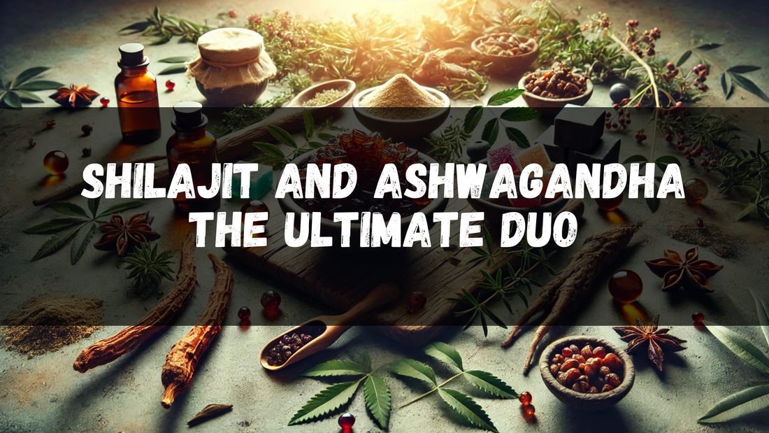 Shilajit and Ashwagandha: The Ultimate Adaptogen Duo for Modern Wellness