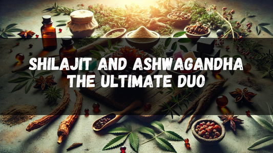 Shilajit and Ashwagandha: The Ultimate Adaptogen Duo for Modern Wellness