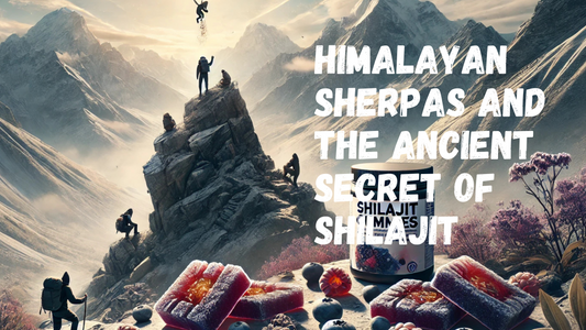 Himalayan Sherpas and the Ancient Secret of Shilajit: Nature’s Ultimate Vitality Booster