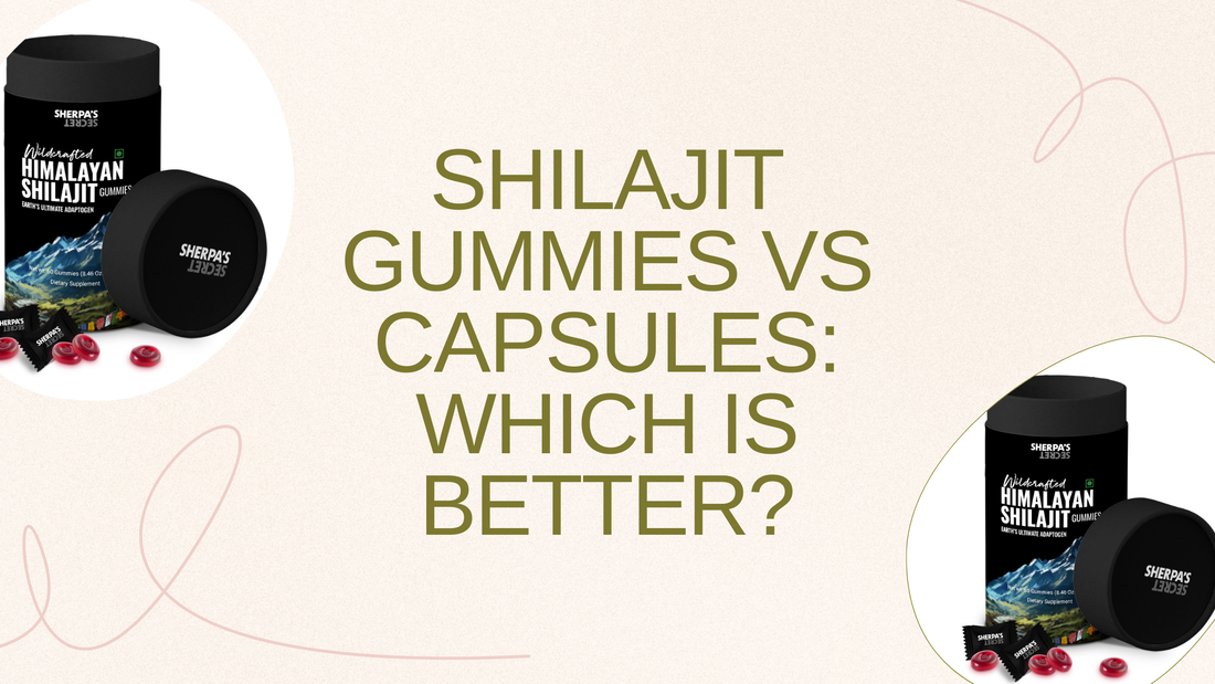 Why Shilajit Gummies Are Better Than Capsules: A Modern Wellness Revolution